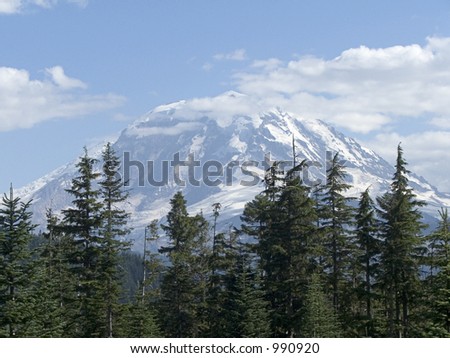 Picture of Mt. Rainier in Washington state at about 6,000 feet above sea level looking at the Carbon River Glacier (lower left)