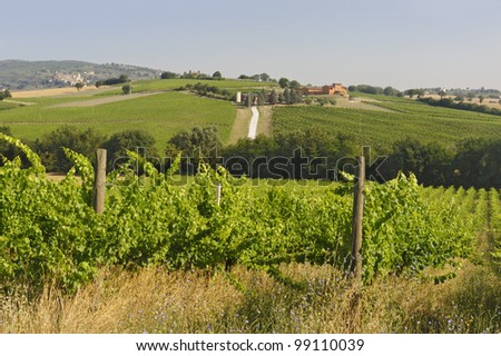 Country landscape in Umbria near Todi (Perugia, Italy) at summer