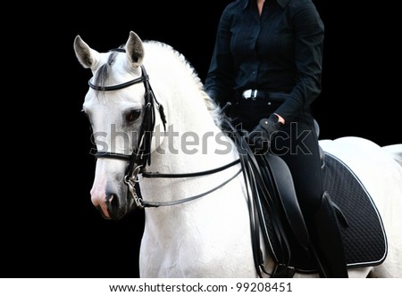 rider on white arab