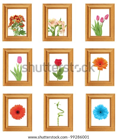 Collection of fresh flowers in a wooden framework.