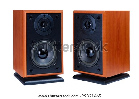 Two audio speakers in wooden case isolated on white background, musical equipment