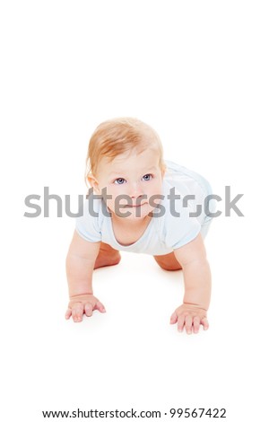 studio picture of baby crawling. isolated on white