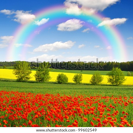 rainbow above the spring landscape with red poppy field