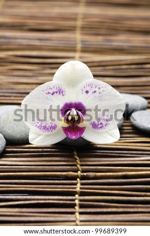 Beautiful orchid and zen Stones on bamboo stick straw mat