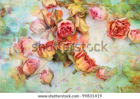 Dry roses beautiful vintage background
