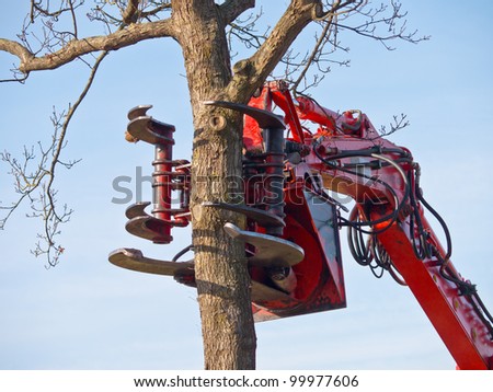 The claw of a tree cutting crane about to cut a tree Royalty-Free Stock Photo #99977606
