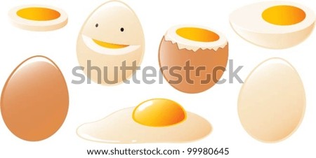Vector illustration of various kinds of egg