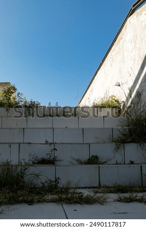 Similar – Weeds Growing in a Blocked Suburban House Rain Gutter