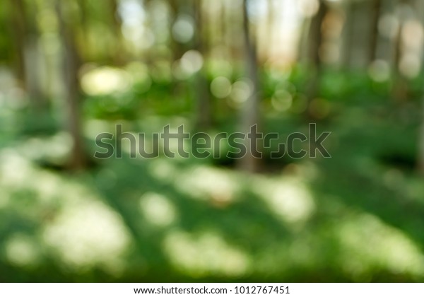 24++ Nature Blur Background Free Download