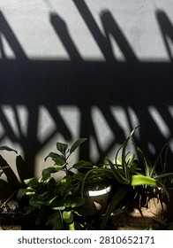 The image of an array of objects illuminated by light.
