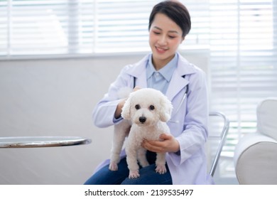 Image Of Asian Female Veterinarian Examining A Dog
