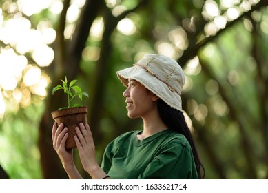  Image Of An Asian Woman In The Concept Of Planting Trees For The Environment