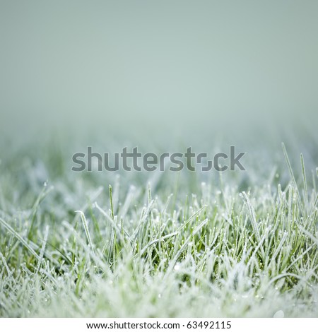 Image, Stock Photo frost Winter Nature Plant