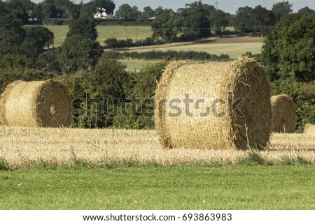 An image of a bale of hay, drying in the sun on a warm summers day at Eye Kettleby Lakes, Melton Mowbray, Leicestershire, England, UK