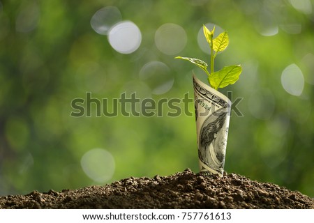Image of bank note with plant growing on top for business, saving, growth, economic concept 