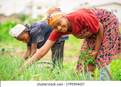 image of beautiful African woman and a boy in green field with the boy bit blurred-black woman smiling-farm concept