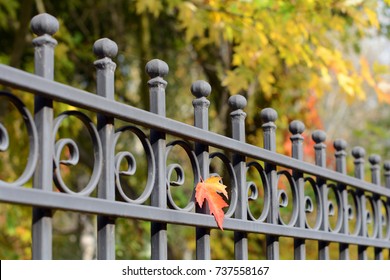 Image of a Beautiful decorative cast metal wrought fencing with artistic forging. Iron guardrail close up.Abstract autumn backgrounds.