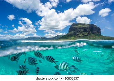Image of a beautiful mountain and clouds from the ocean.Ã?? The lower part of the picture - the underwater world with fishes
