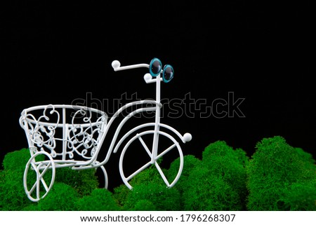 image of bicycle moss dark background 