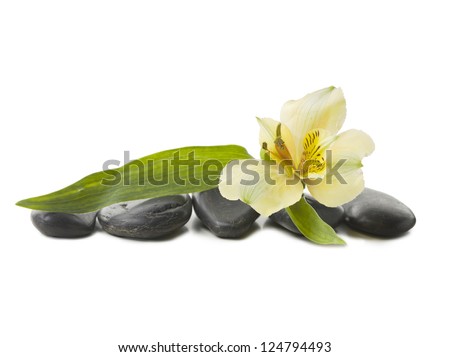 Similar – Image, Stock Photo Stone Rock (I) Feminine