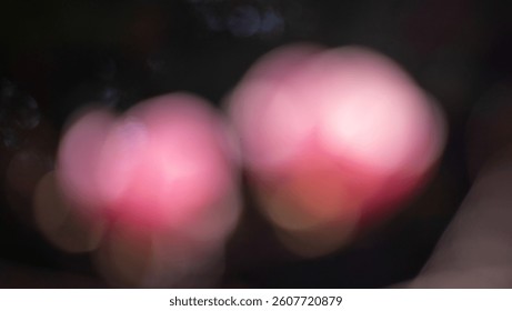 The image is blurry and has a pinkish hue. It is a close up of two flowers, possibly roses, with a blurry background. Scene is soft and romantic, with the pink color