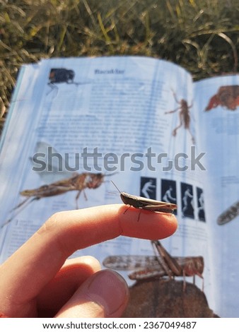 The image of a book in the background and a grasshopper standing on a finger in the front