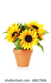 13,757 Sunflower Pot Images, Stock Photos & Vectors | Shutterstock