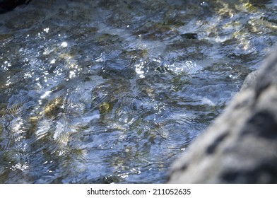 An Image of Brook