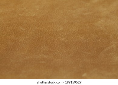 An Image Of Buckskin