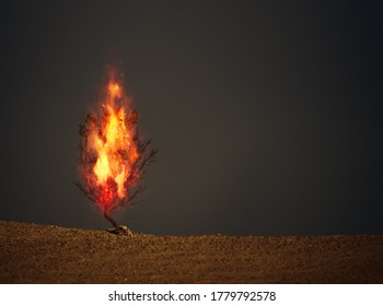 Ein Bild eines brennenden Dornbusch-Kirstisches Symbol