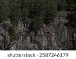 An image of the Canadian Shield as seen from the south side of the French River along the Recollet Trail in French River, Ontario.