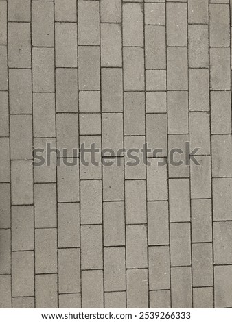 The image captures a close-up view of a gray paved surface, showcasing an arrangement of rectangular paving stones. The uniform pattern and texture of the stones create a visually appealing design.