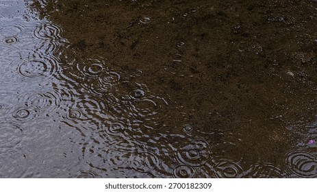 The image captures the dynamic texture and movement of water as rain falls, contrasting the smooth, reflective wetness with the darker, rougher ground. - Powered by Shutterstock - Get 15% off with code: PIKWIZARD15
