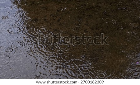 The image captures the dynamic texture and movement of water as rain falls, contrasting the smooth, reflective wetness with the darker, rougher ground.