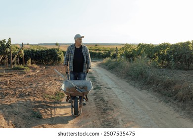The image captures an elderly man pushing a wheelbarrow down a rural path, surrounded by the peaceful countryside. His slow, deliberate movements reveal his deep connection to the field.