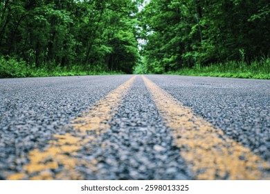 The image captures a low-angle view of a paved road surrounded by dense green trees. The camera is positioned close to the asphalt, emphasizing the texture of the road and the two faded yellow lines. 