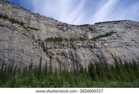 The image captures a panoramic view of the Weeping Wall cliff side along the Icefields Parkway in Alberta, Canada. Slender, wispy waterfalls cascade down the massive, horizontally layered limestone rock face. Dense rows of green evergreen pine trees line the top edge, the middle rocky terraces, and the entire foreground basin beneath a blue sky streaked with light, wispy white clouds.