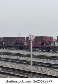 The image captures a railway yard with multiple red freight train cars aligned on parallel tracks. In the foreground, a weathered sign reads “DRIVER STOP HERE,” tilted slightly to one side. A small bi