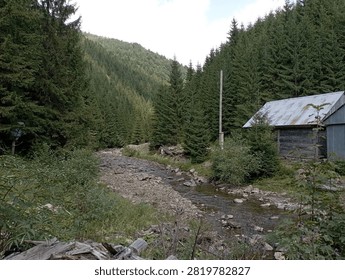 The image captures a secluded forest landscape featuring a shallow mountain stream and a rustic building.

Key details of the shot:

Foreground: Mixed grasses, shrubs, and logs along the stream bank.

Middle ground: The rocky bed of a shallow mountain stream receding into the distance. On the right bank stands an old wooden house (or shed) with a slate or metal roof, with a solitary utility pole rising nearby.

Background: Majestic mountain slopes completely covered in a dense, tall coniferous (spruce) forest.

Lighting: Natural daylight under slightly overcast skies, lending the scene a tranquil yet somewhat rugged wilderness atmosphere.