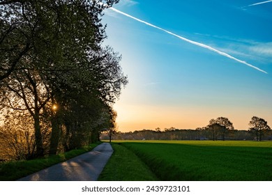 The image captures the serene beauty of an early morning on a country road. A line of trees on the left frames the path that recedes into the distance. The sky is a breathtaking canvas of light blues