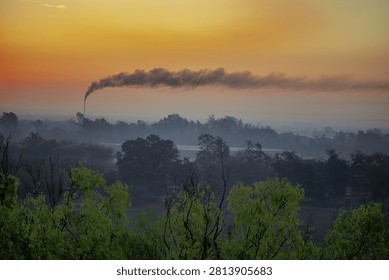 The image captures a wide, elevated landscape view during what appears to be sunrise or sunset, defined by a striking contrast between natural foliage and industrial atmospheric pollution. In the sharply focused foreground, the vibrant, textured green and yellow-green leaves of treetops intermingle with dark, bare branches, establishing an organic, natural framing. The middle ground transitions into a dense, misty expanse of softly silhouetted trees and vegetation enveloped in a thick, cool-toned, greyish-blue fog, which partially obscures a long, flat, light-colored building roof nestled within the grove. Dominating the background is a tall, slender industrial smokestack emitting a heavy, dark grey plume of smoke that drifts sharply to the right, stretching horizontally across the horizon.