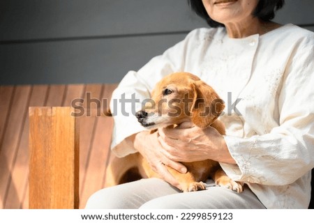 Image of caregivers and elderly pets Faceless