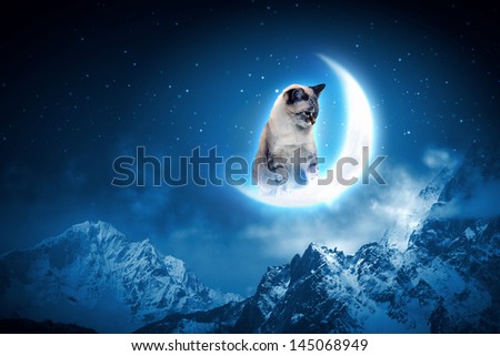Image of cat in jump catching moon
