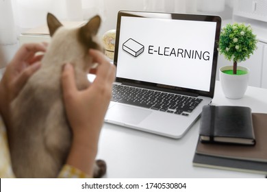 Image Of Cat Watching On Laptop Screen For Internet Learning.