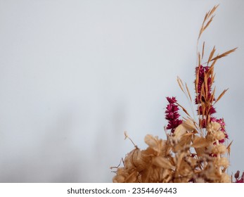 Image copy space. Frame composition of dried flowers on gray background. Autumn, fall mockup. 