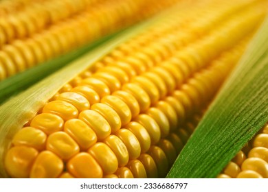 A image of Corn macro