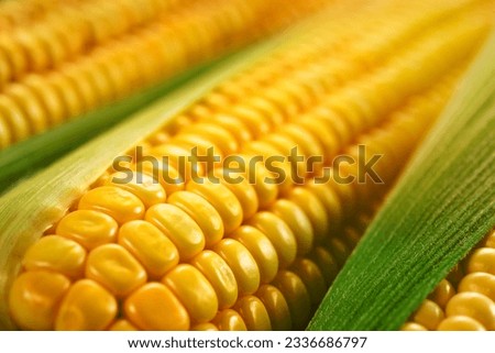 A image of Corn macro