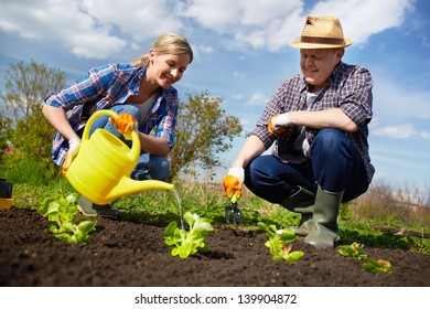 Image Of Couple Of Farmers Seedling And Watering Sprouts In The Garden