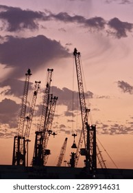 the image of cranes among the clouds
