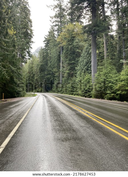 An image of a\
curving road in the middle of the Olympic National Forest. Low\
clouds move past the mountain causing an overcast look to the sky.\
Tall trees frame the road. 
